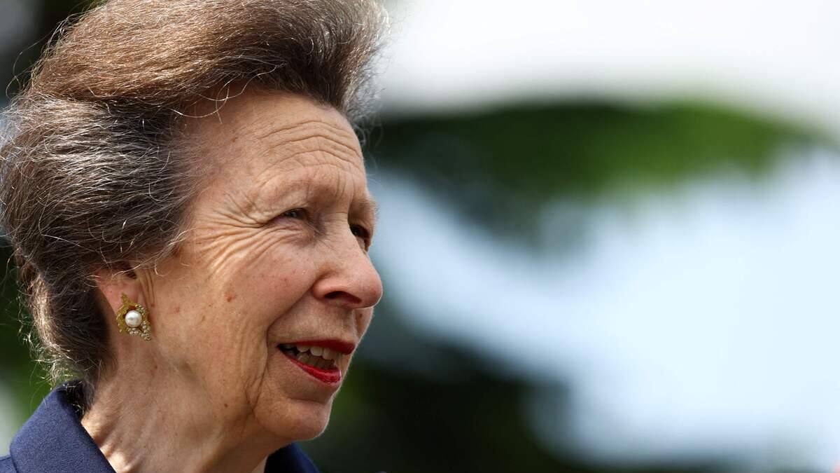 Incident avec un cheval: la princesse Anne «se porte bien»