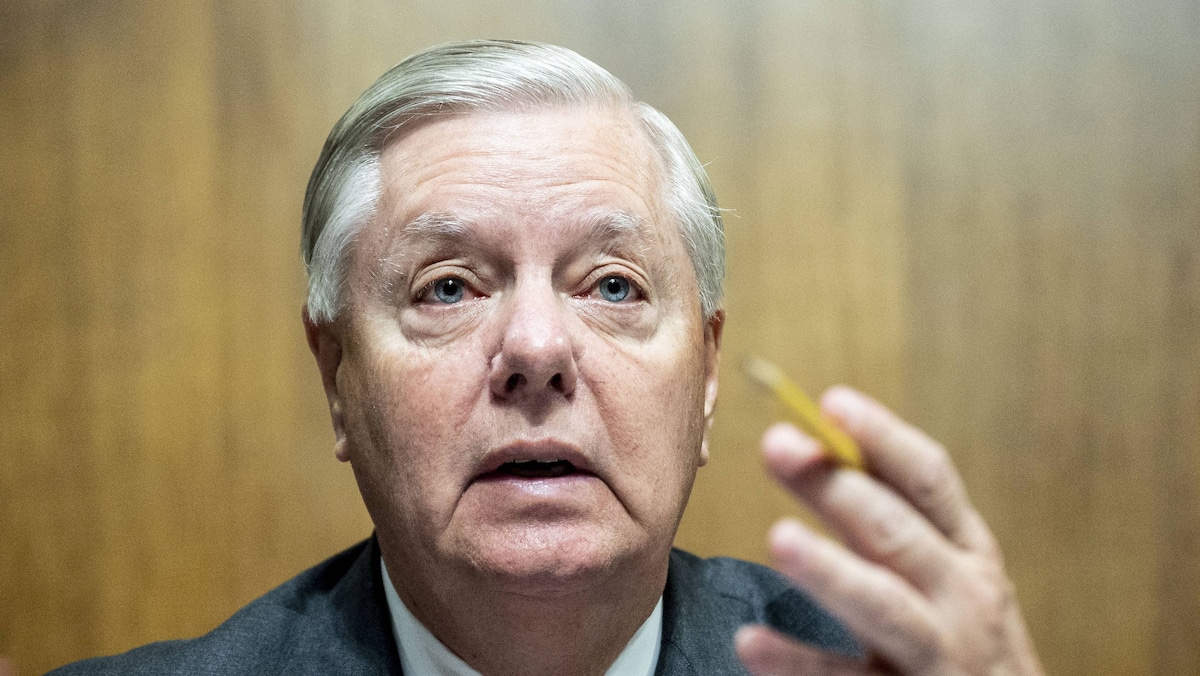 Donald Trump recommends Lindsey Graham’s sister to replace the late senator Donald Trump recommends Lindsey Graham’s sister to replace the late senator