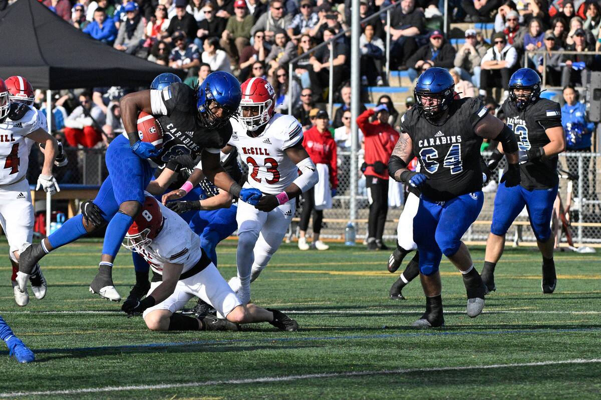 RSEQ, Football Universitaire Québecois | Infos, Stats & Vidéos - TVA Sports