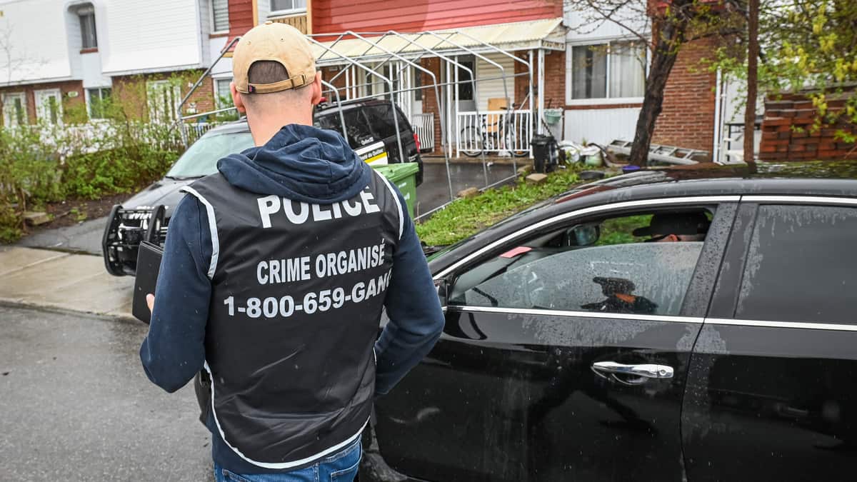 Mafia montréalaise: un 3e suspect épinglé pour la tentative de meurtre ...