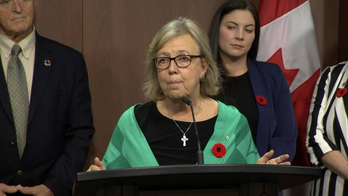 Green Party: eight aspirants running for the post of Elizabeth May 1