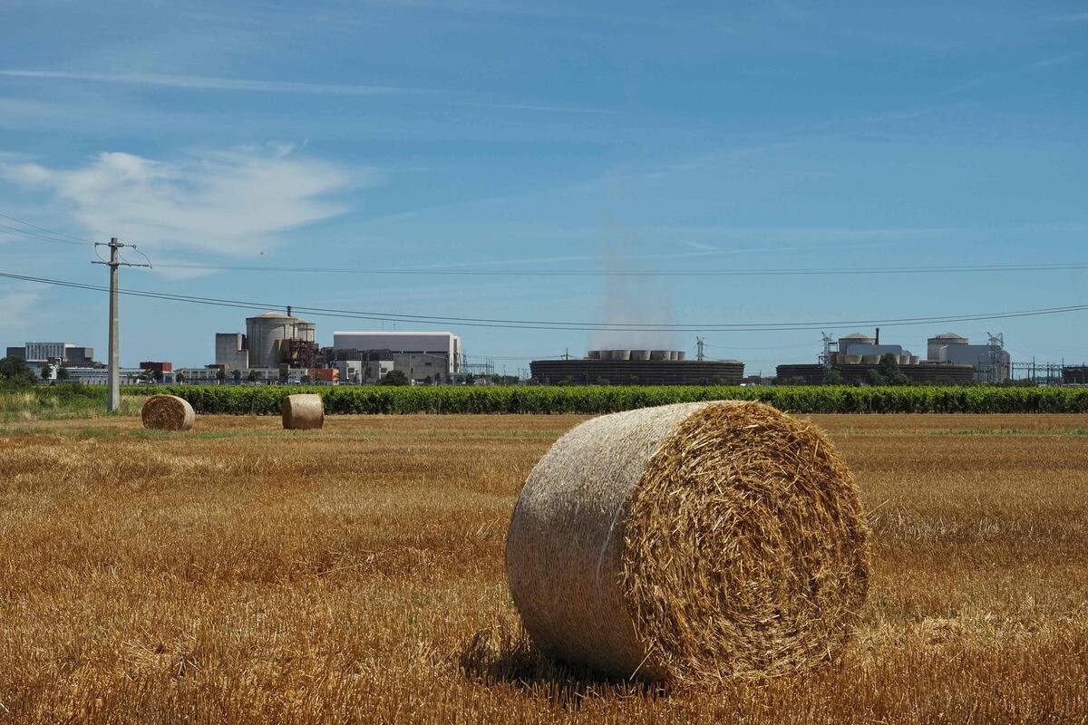 Chute importante de la production de c&eacute;r&eacute;ales au pays en 2021