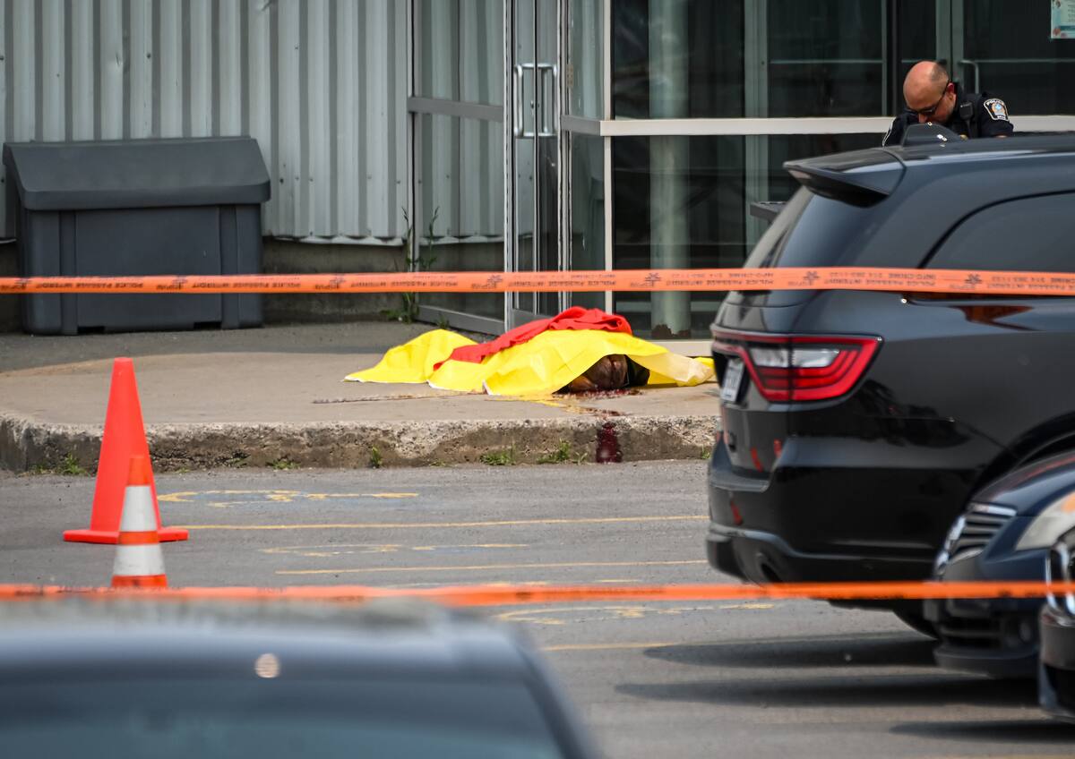 &laquo;J.E&raquo;: la mafia de Montr&eacute;al en d&eacute;route