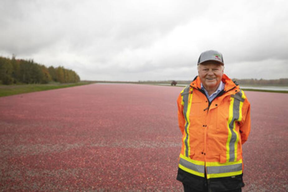 Marc Bieler, président fondateur de Canneberges Bieler, à sa cannebergière de Saint-Louis-de-Blandford, dans le Centre-du-Québec.