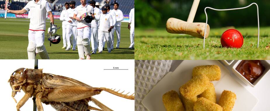 Image principale de l'article Cricket, croquet, criquet ou croquette?