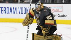 Avant Fleury, il y a eu Brodeur, Roy, Lalime...