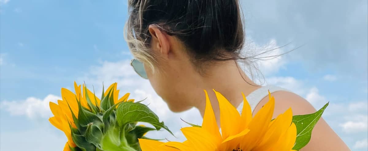 Trois idées pour une virée à Laval cet été