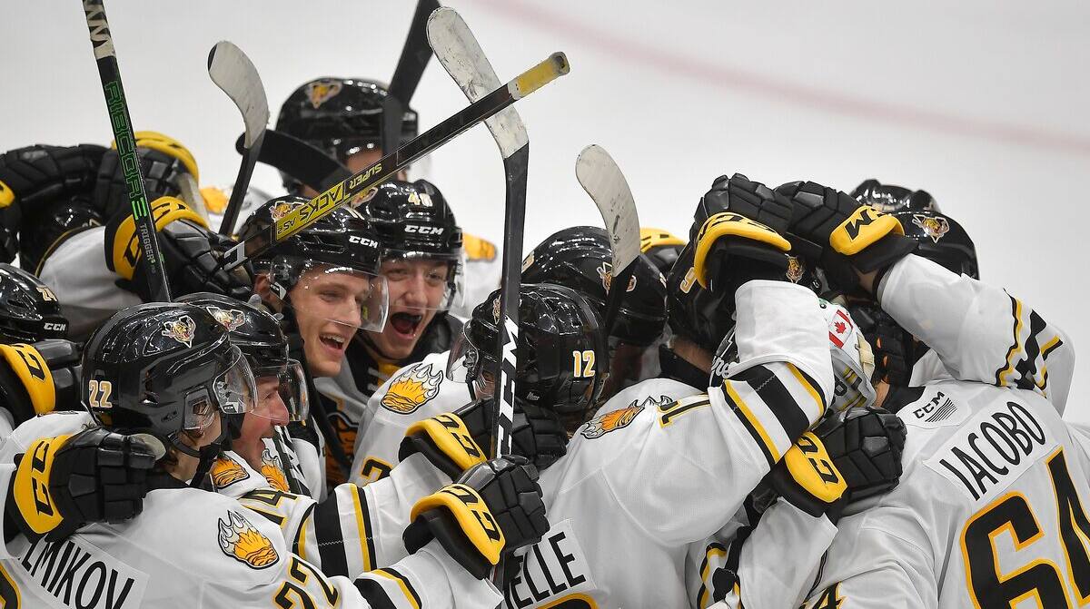 Une première grande finale en 19 ans pour les Tigres de Victoriaville TVA Nouvelles Une première grande finale en 19 ans pour les Tigres de Victoriaville TVA Nouvelles