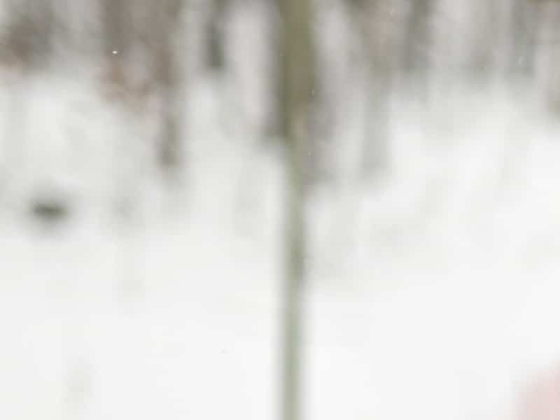 En route pour les Jeux olympiques : Elliot Vaillancourt a démarré son moteur diésel en juin dernier