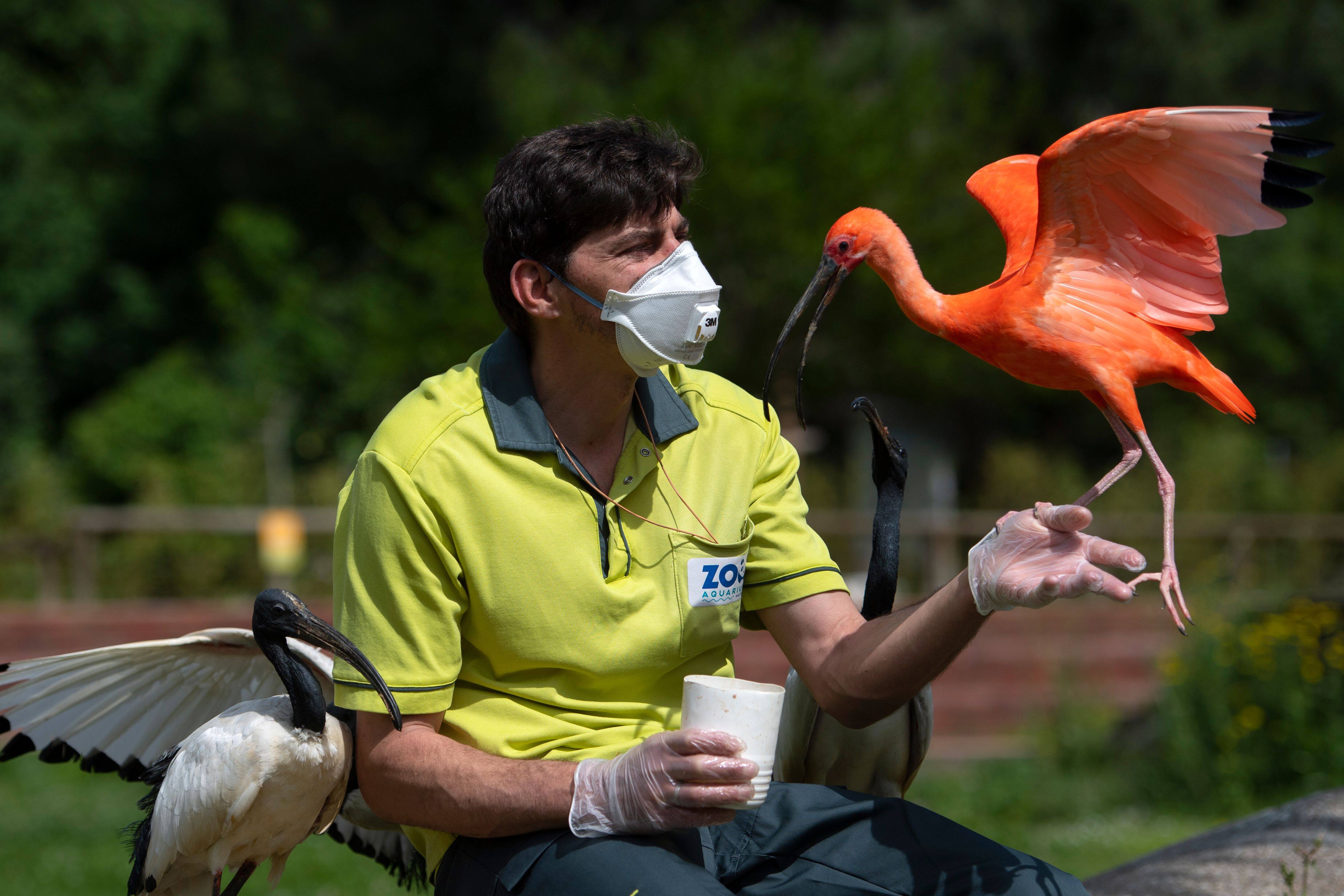EN DIRECT | Les derniers d&eacute;veloppements sur le coronavirus