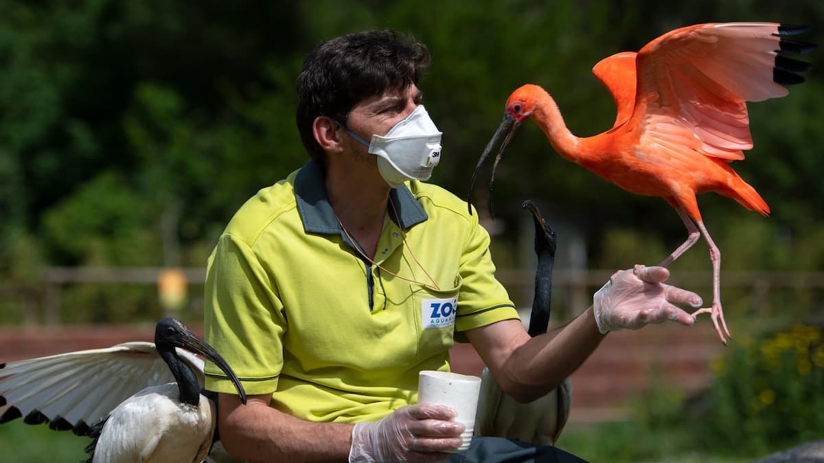 EN DIRECT | Les derniers développements sur le coronavirus