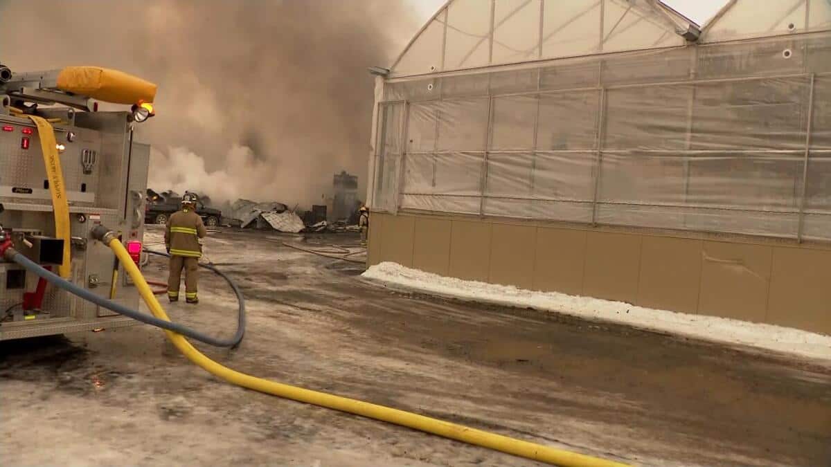 SainteClotildedeChâteauguay important incendie dans les serres