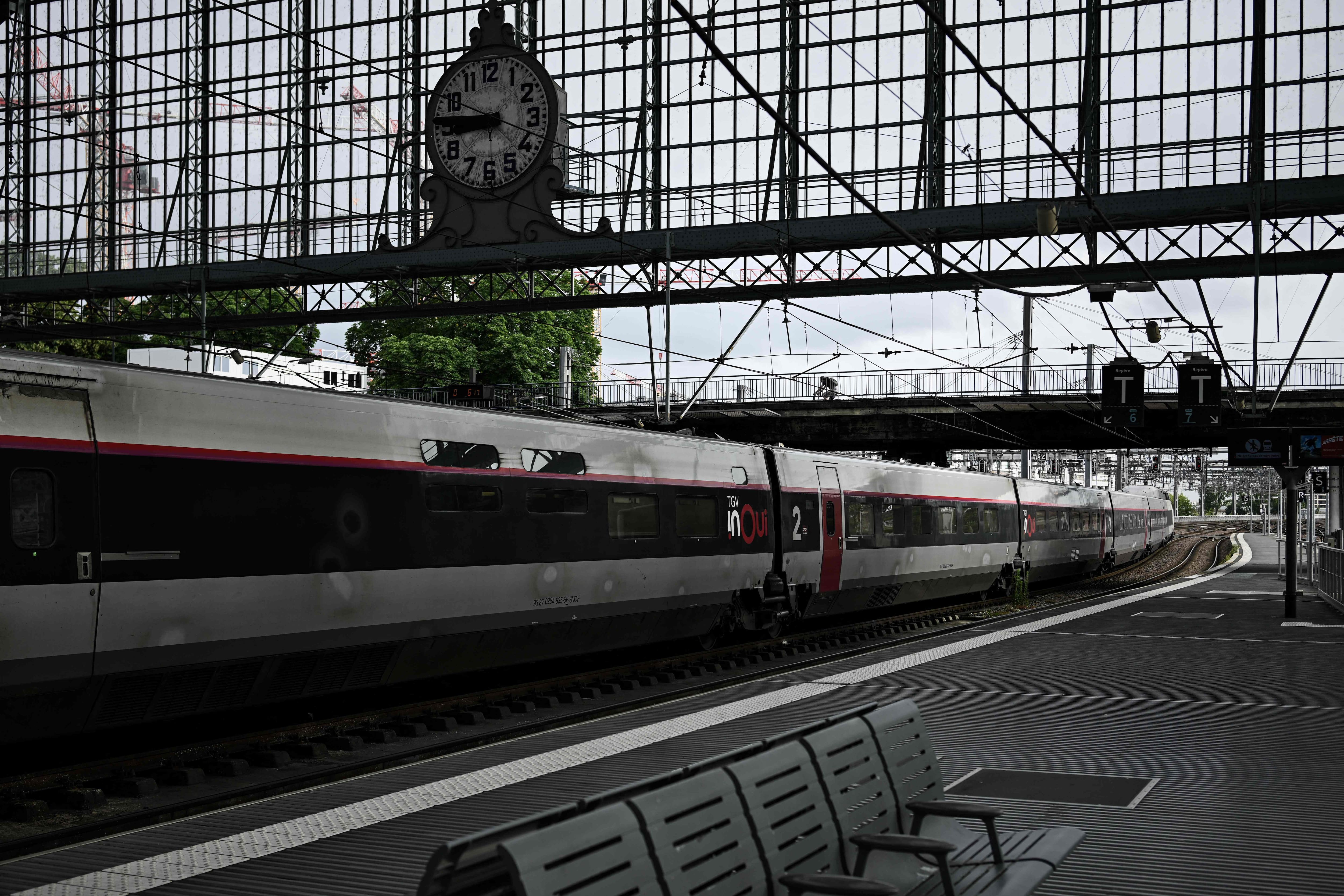 A cat decapitated by a train revives the debate on animals lost at stations in France