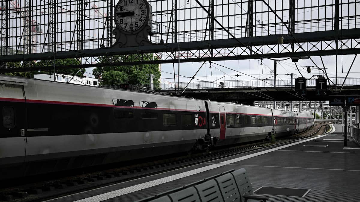 A cat decapitated by a train revives the debate on animals lost at stations in France A cat decapitated by a train revives the debate on animals lost at stations in France