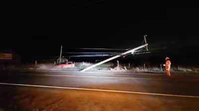 Outlaws: Spectacular confrontation over a deer in a Pontiac