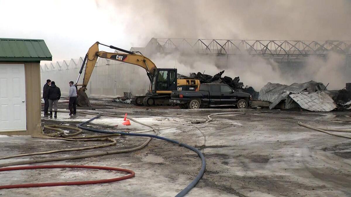 SainteClotildedeChâteauguay important incendie dans les serres