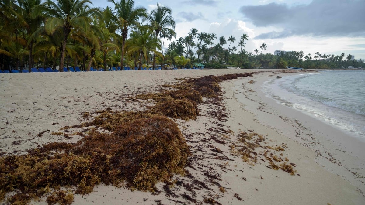 La Colombie découvre un «important» gisement de gaz en mer des Caraïbes