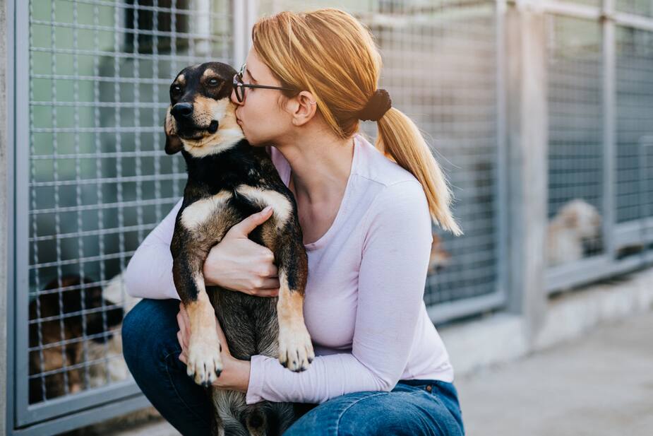 Image principale de l'article Les animaux ont permis de briser la solitude