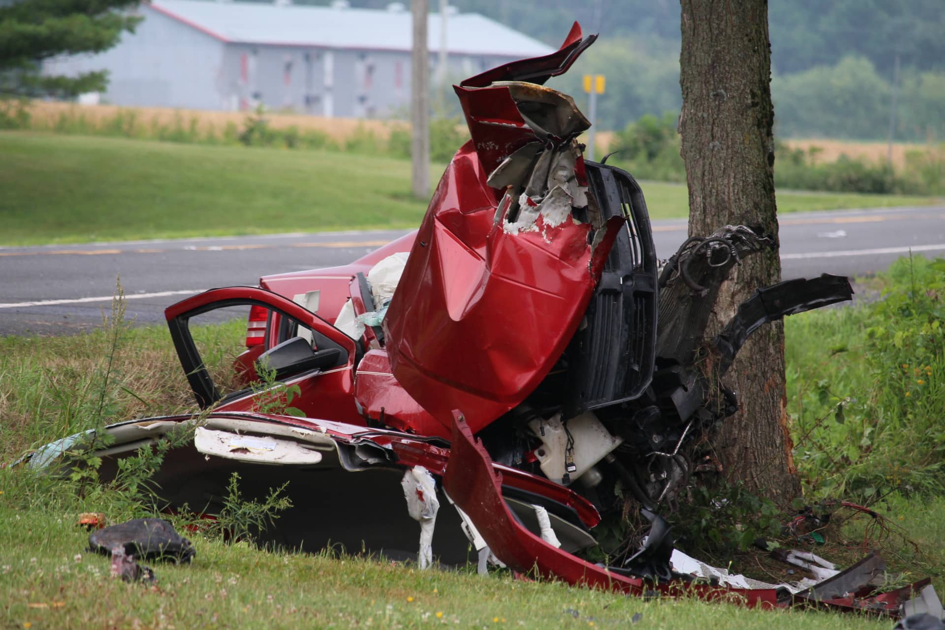 EN IMAGES | Un automobiliste perd la vie dans une violente collision contre un arbre à Lévis