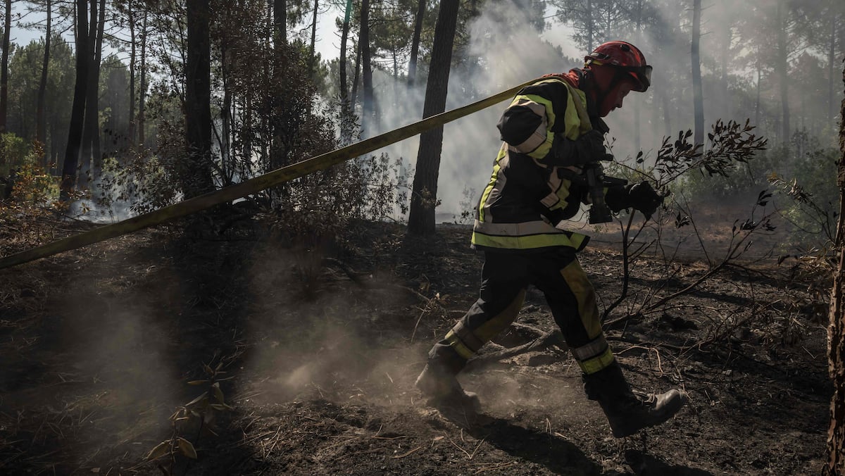 Megafire in France: “stabilized” but with 14 outbreaks of fire, before the arrival of a new “heat peak” Megafire in France: “stabilized” but with 14 outbreaks of fire, before the arrival of a new “heat peak”
