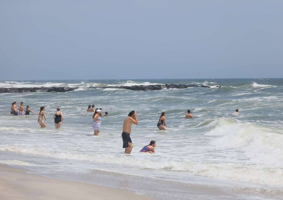 Au large de la c&ocirc;te est am&eacute;ricaine, les requins blancs de plus en plus nombreux