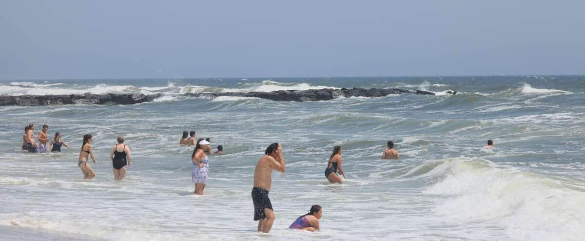 Au large de la côte est américaine, les requins blancs de plus en plus nombreux