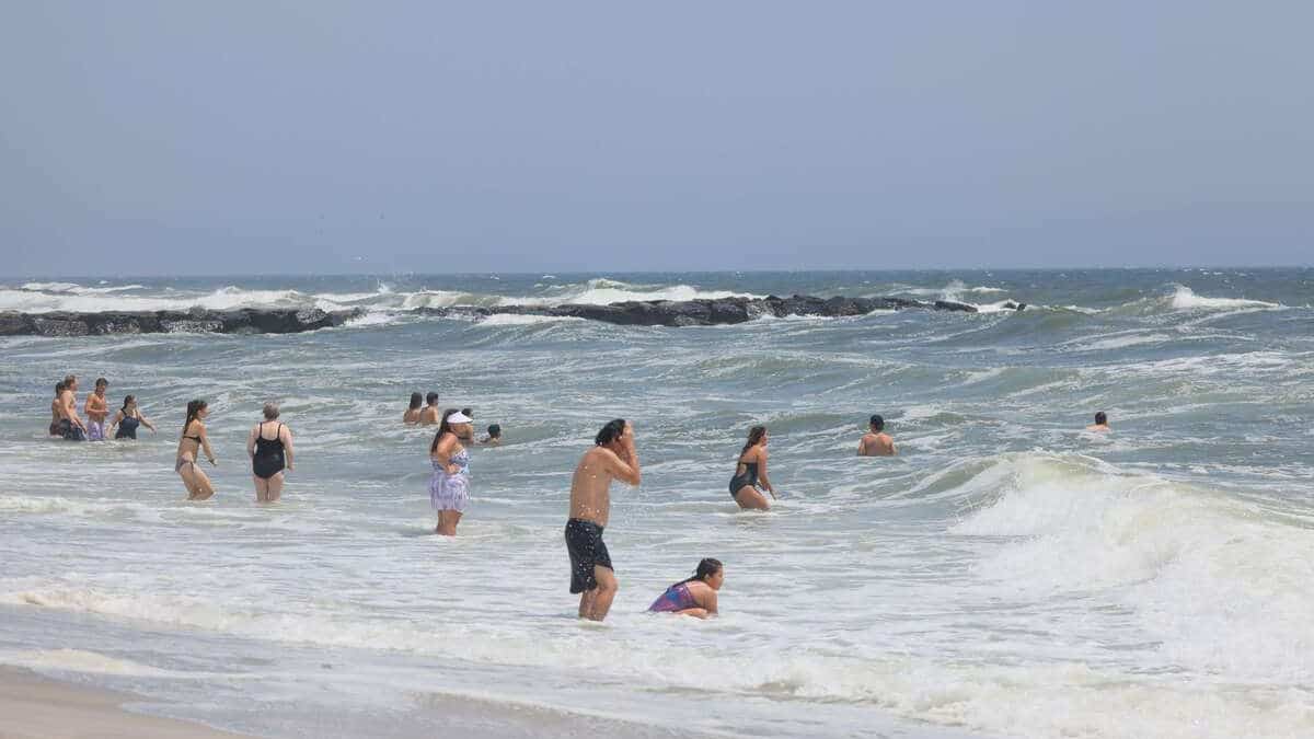 Au large de la côte est américaine, les requins blancs de plus en plus nombreux