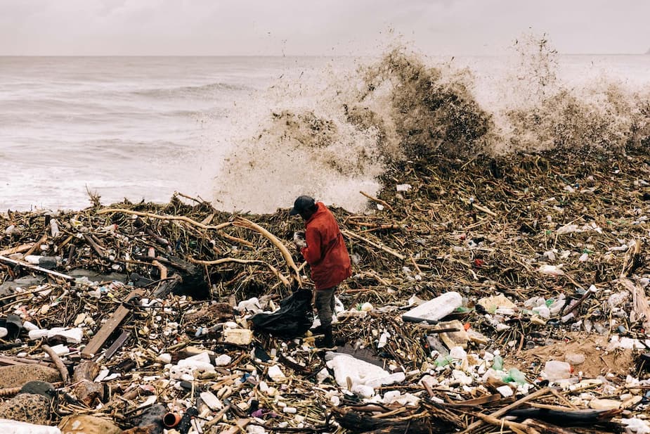 Image principale de l'article Est-ce la faute des changements climatiques?