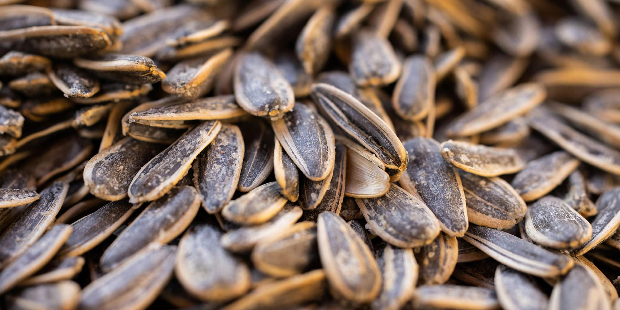 Quoi manger pour combattre les allergies au pollen