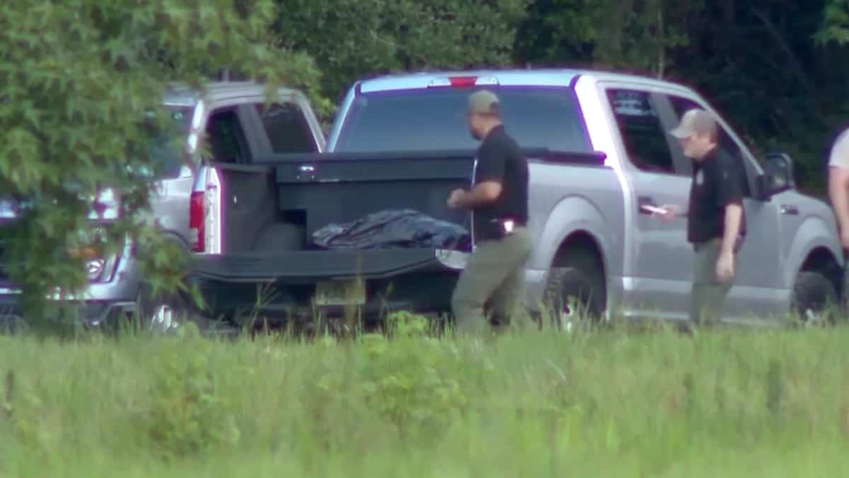 A 31-year-old woman killed by an alligator in Florida while swimming: her partner desperately tried to save her A 31-year-old woman killed by an alligator in Florida while swimming: her partner desperately tried to save her
