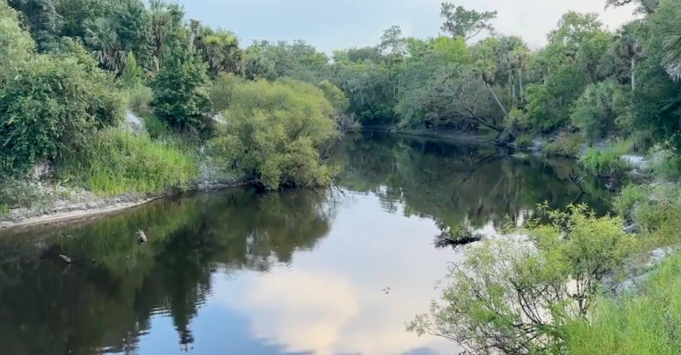 A 31-year-old woman was fatally attacked by an alligator while swimming in a river in Florida.