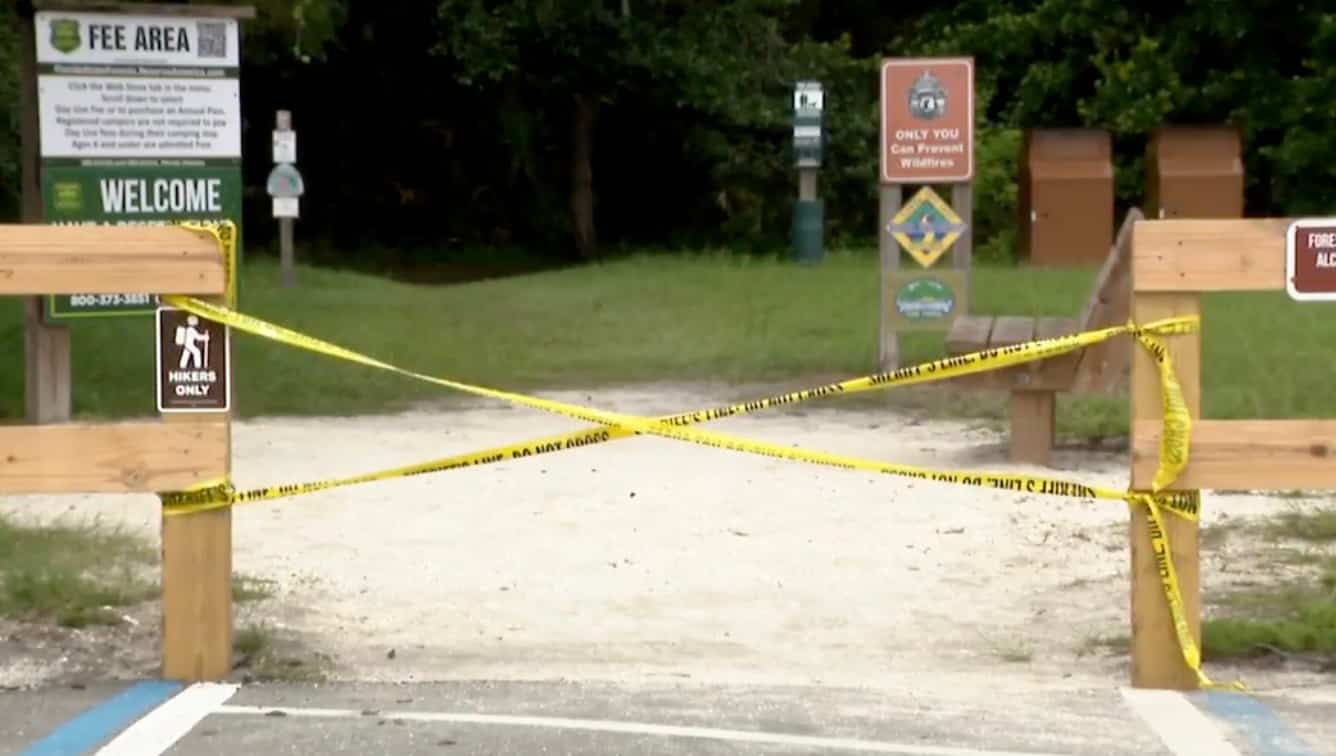 A 31-year-old woman was fatally attacked by an alligator while swimming in a river in Florida.