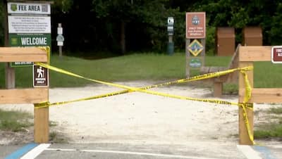 A 31-year-old woman was fatally attacked by an alligator while swimming in a river in Florida.