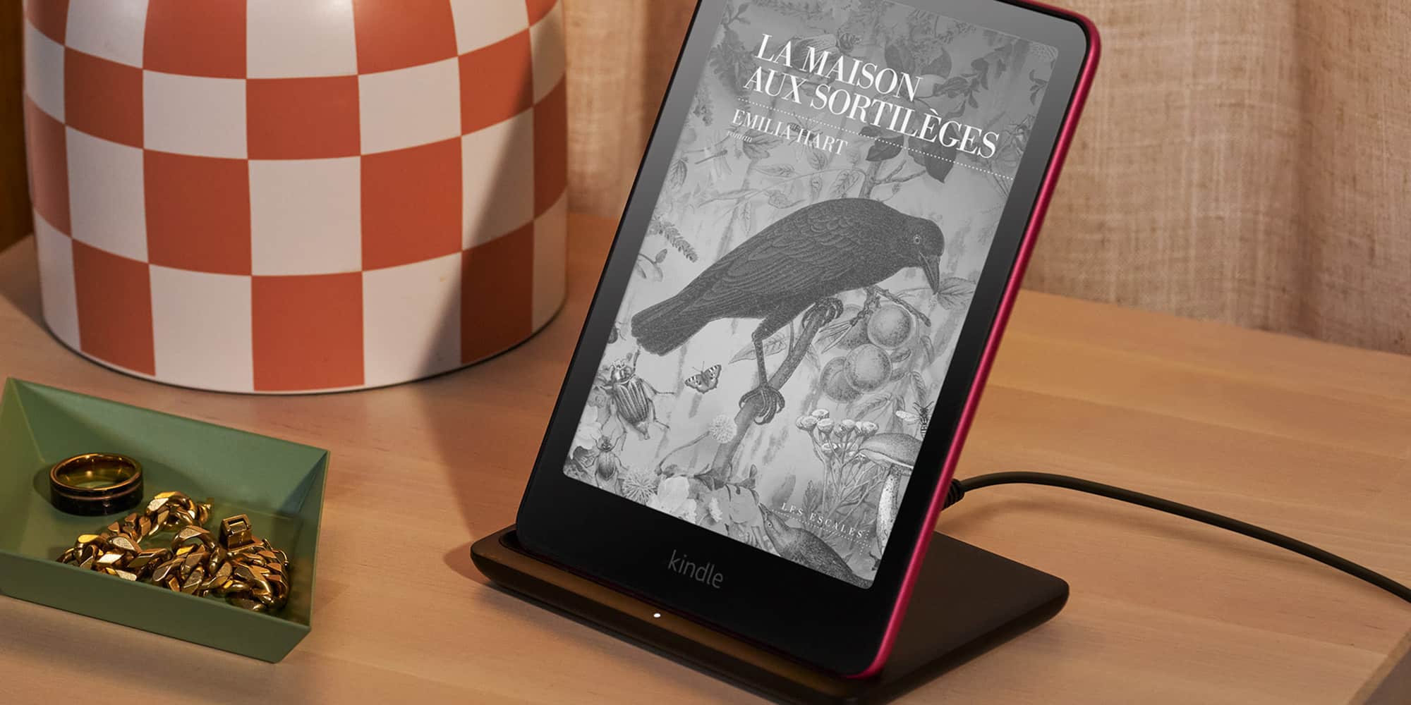 Cette liseuse Kindle est le cadeau parfait