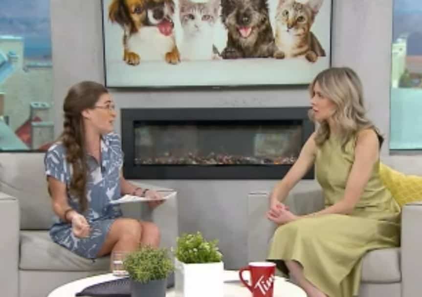 Qu'est-ce qu'un bon service animalier ? 