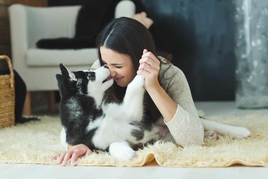 Image principale de l'article 16 preuves que nos animaux nous rendent meilleurs