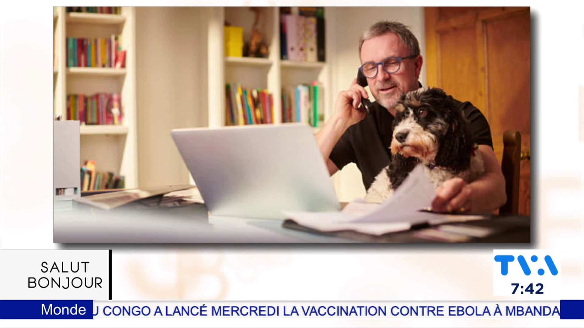 Apporter les animaux domestiques au travail