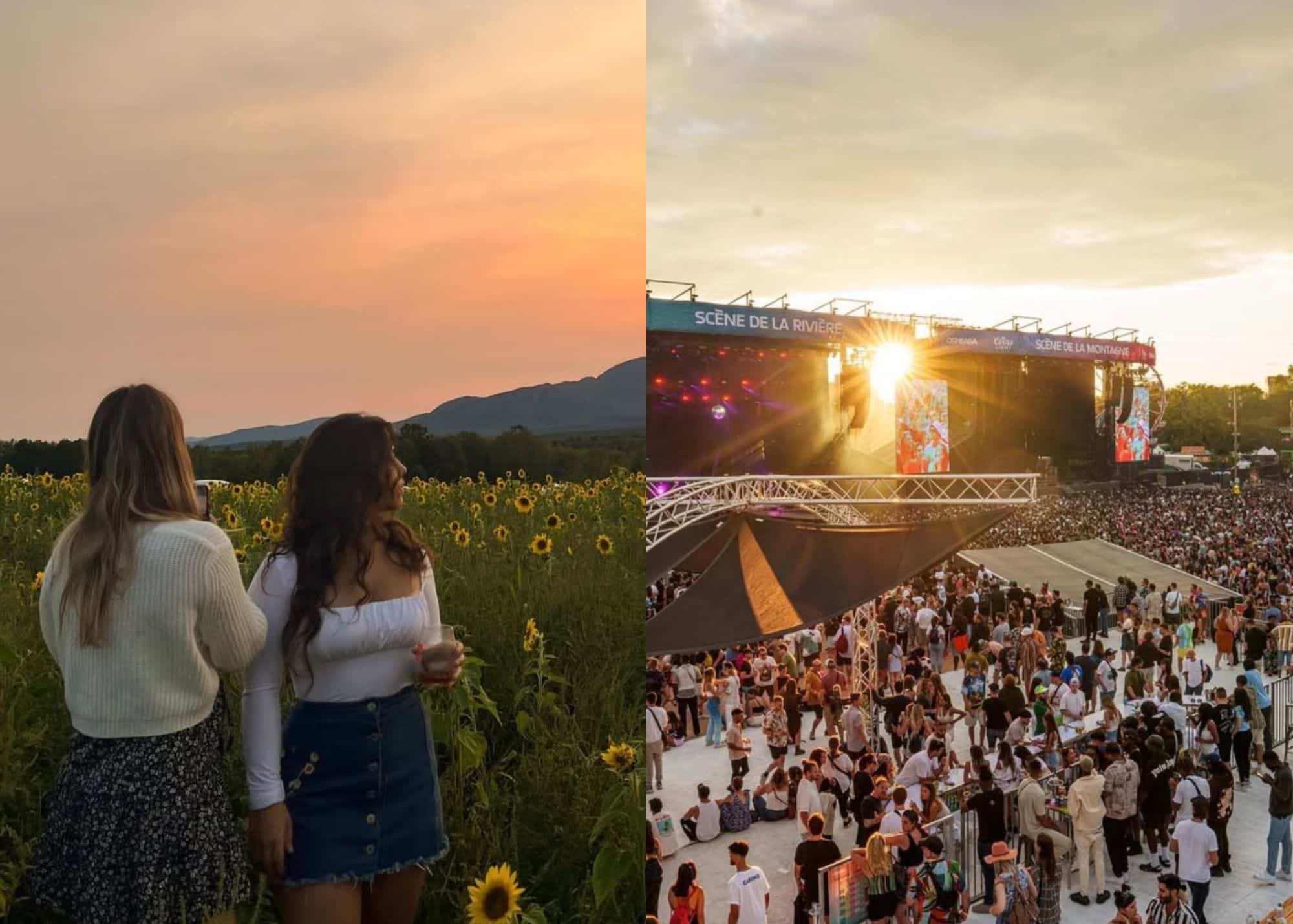 25 idées d'activités à faire en août 