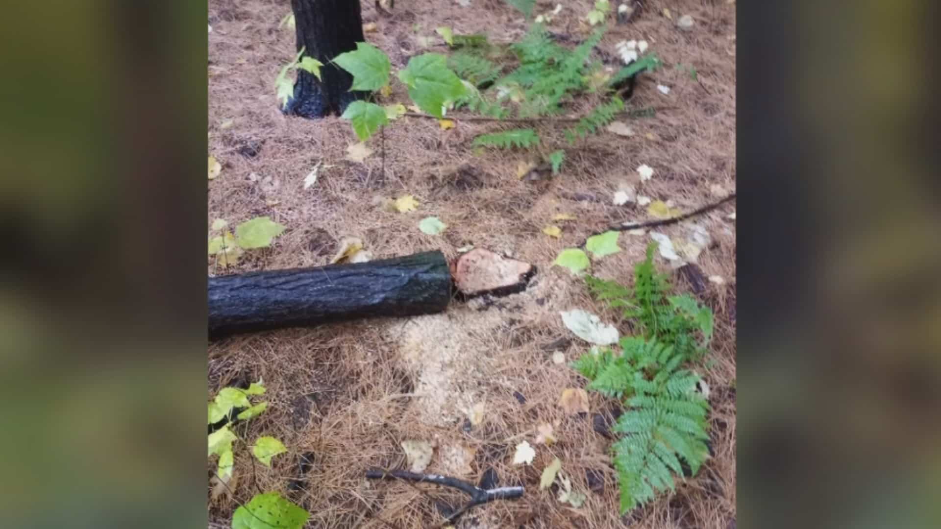 Station Tva Montreal 16 Octobre 2020 Tva Nouvelles