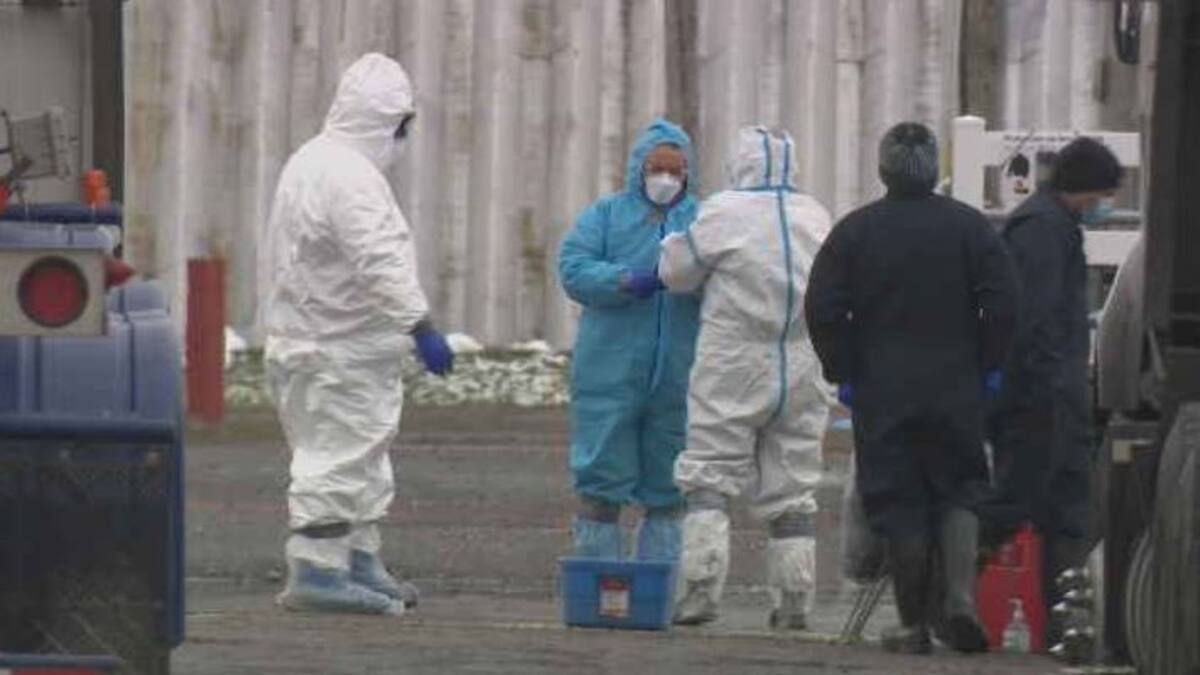 Canards du Lac-Brome: Québec et Ottawa promettent un soutien financier