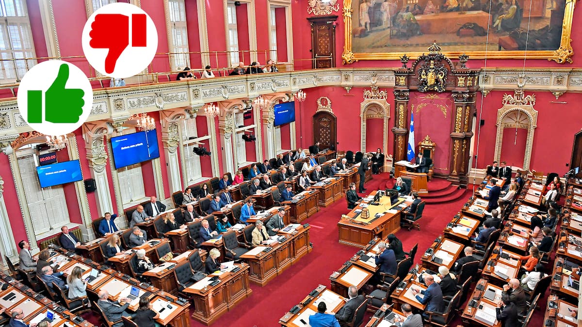 Les Bulletins De La Semaine À L’Assemblée Nationale: Christian Dubé...