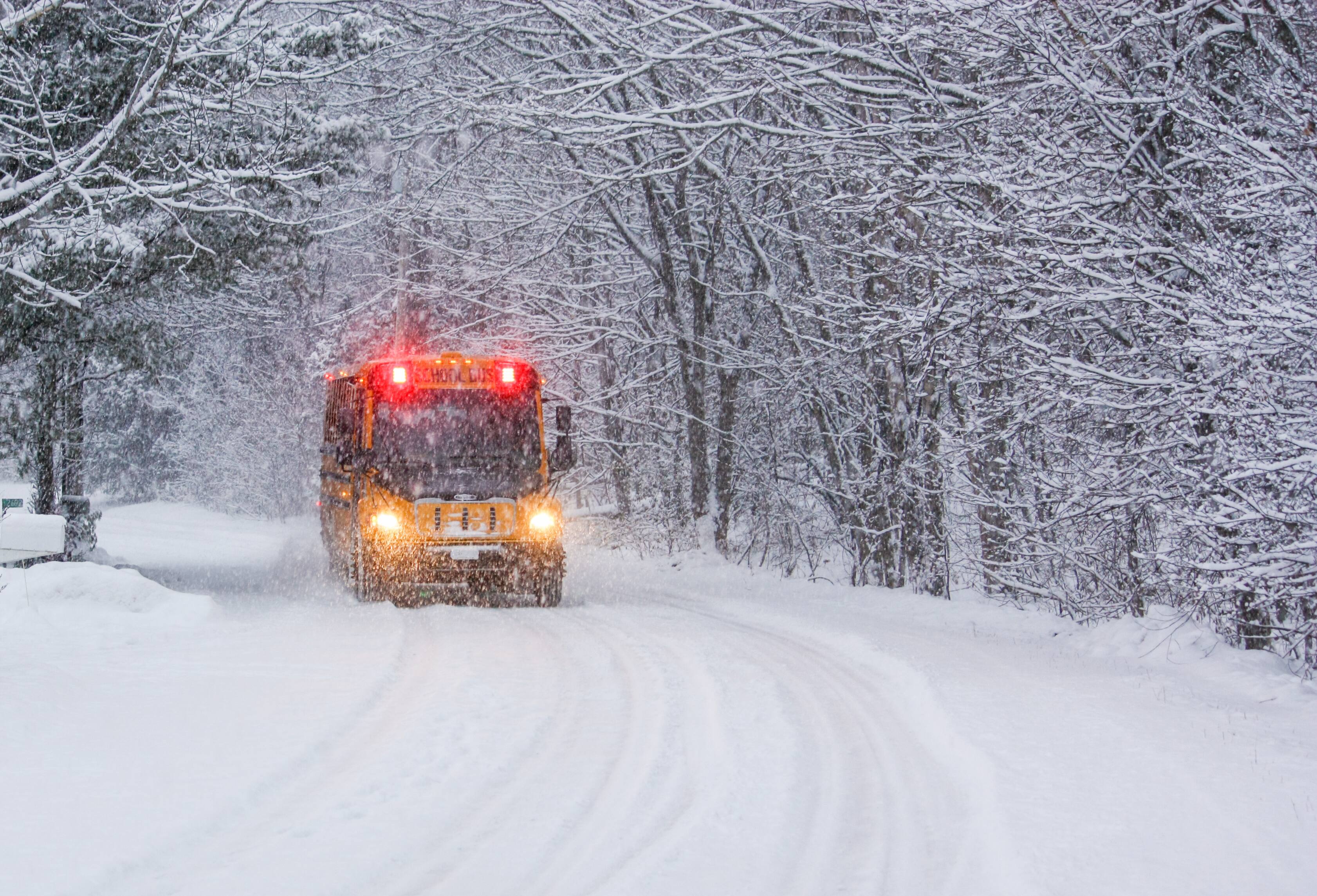 Tempête de neige voici la liste des écoles fermées au Québec TVA
