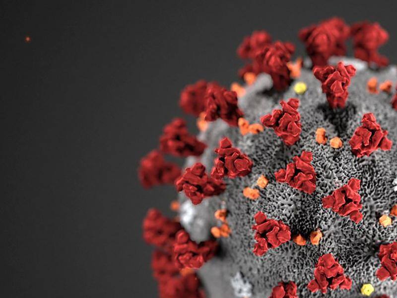 6 février 2020 mise à jour du nouveau coronavirus 2019-nCoV 6 février 2020 mise à jour du nouveau coronavirus 2019-nCoV
