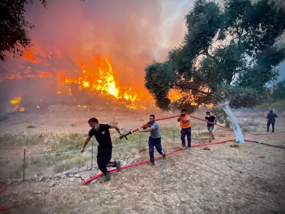 Image principale de l'article Un record de feux de forêt pour un mois de juillet