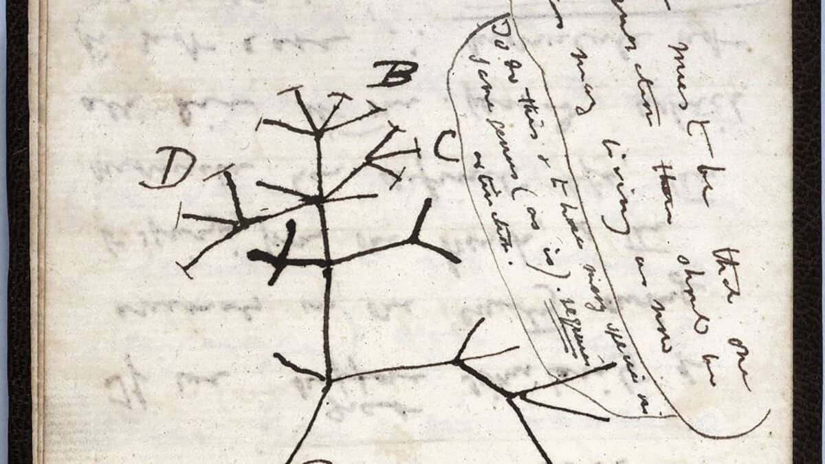 Après 20 ans de disparition, le mystérieux retour de carnets de Darwin à Cambridge