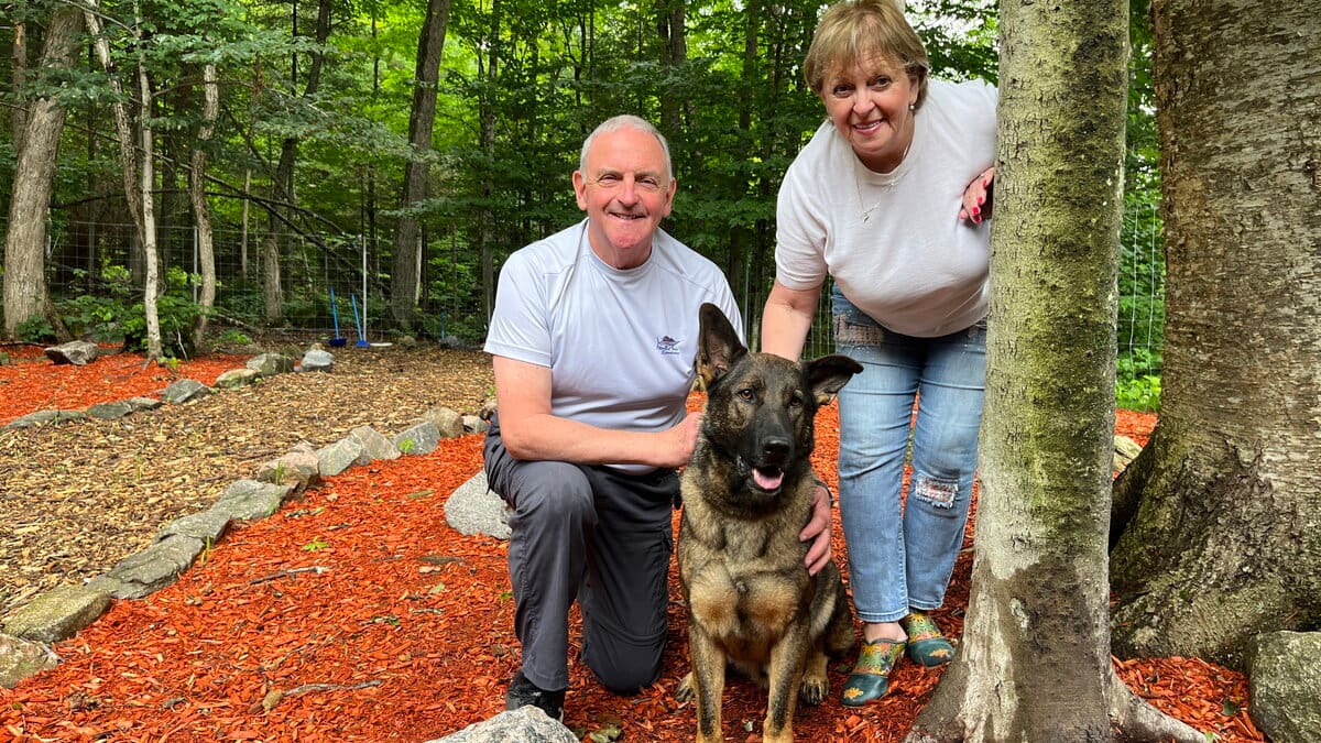 «Vice caché»: une éleveuse de bergers allemands condamnée à payer 13 800$ pour deux chiens malades