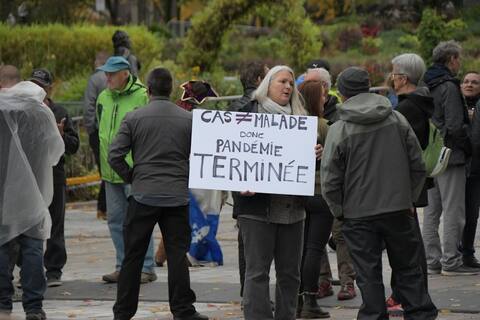 A hundred anti-mask demonstrators in front of the National Assembly