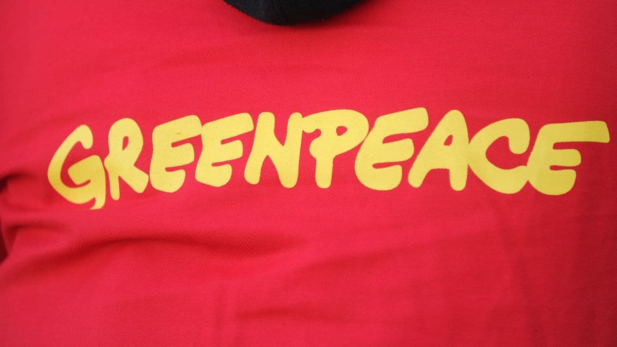 Greenpeace menacée de ruine après une défaite judiciaire à 345 millions de dollars aux États-Unis