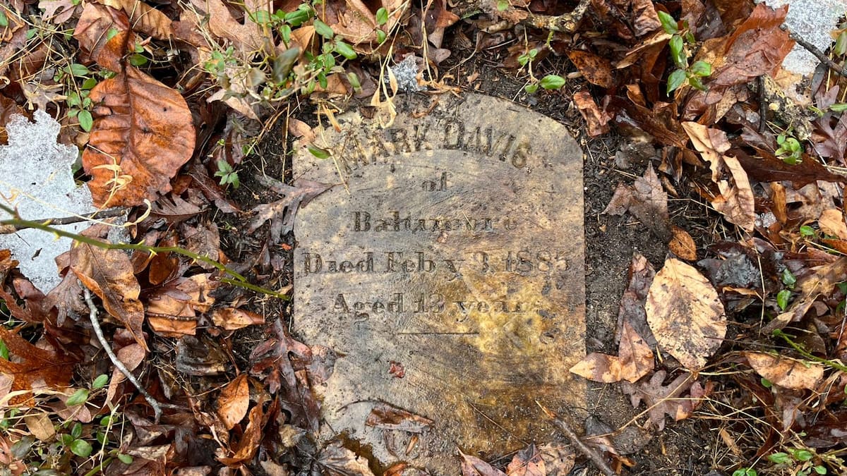 «Une scène de crime»: des dizaines de tombes d'enfants noirs à l'abandon aux États-Unis