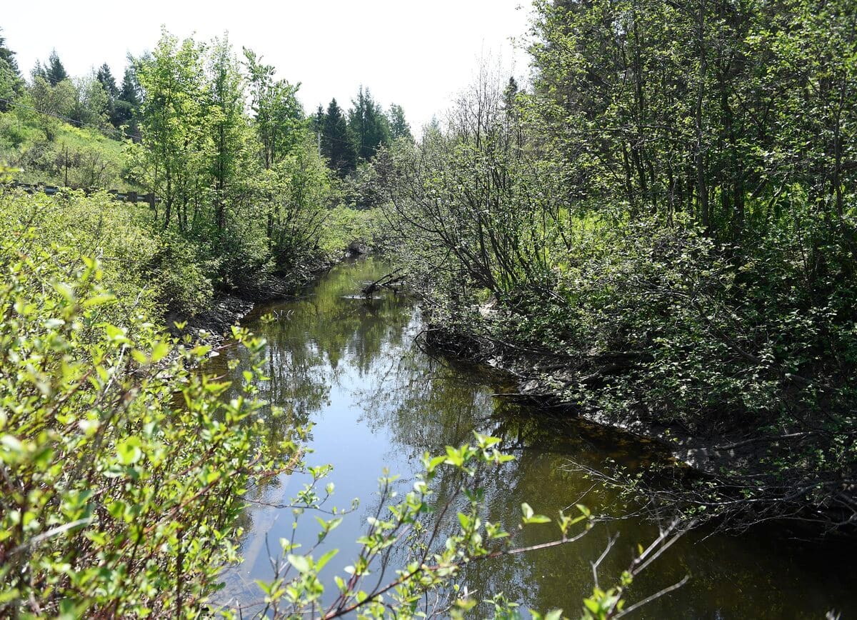 Moins de pesticides ailleurs au Qu&eacute;bec qu'en Mont&eacute;r&eacute;gie